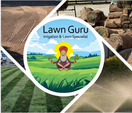 Caring for Your Newly Seeded Lawn: A Guide to Successful Establishment